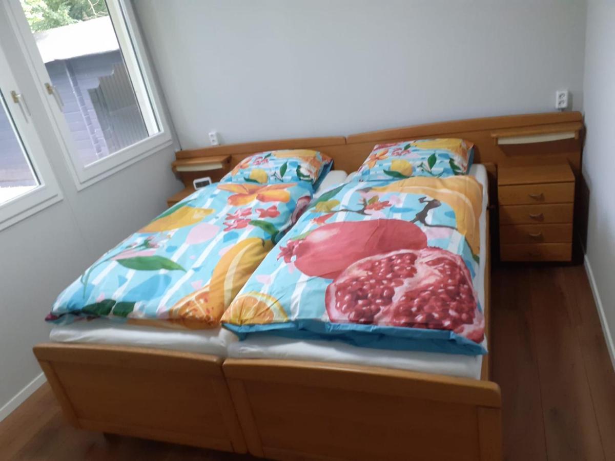 Bungalow/Vakantiehuis Op Park Bavelds Dennen Denekamp Zewnętrze zdjęcie